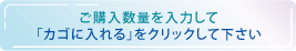 �z�[���h�`���[�u �t�F�X�@�V���[�c S
